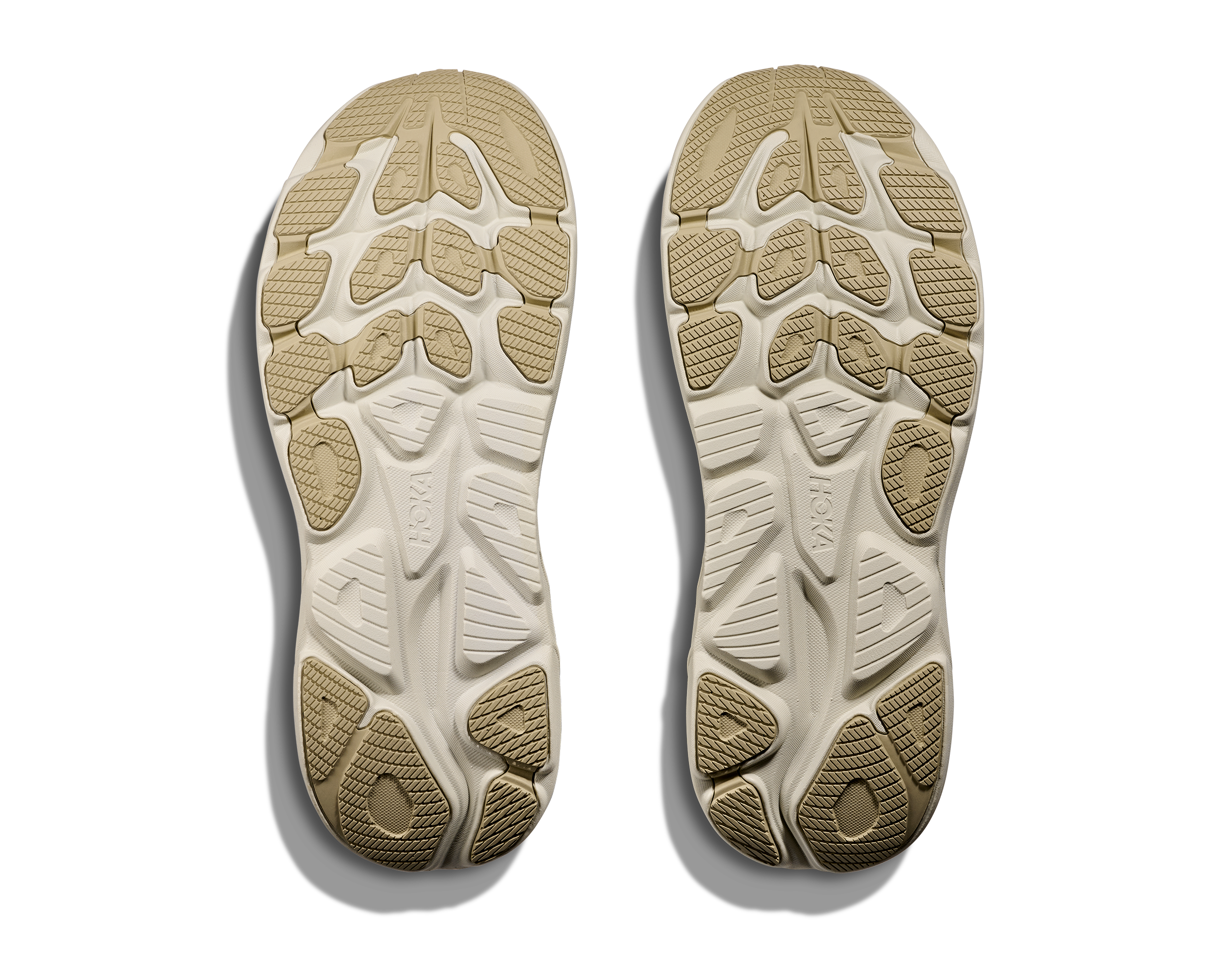 HOKA Men's Clifton 10 - FERN / TRUFFLE SALT