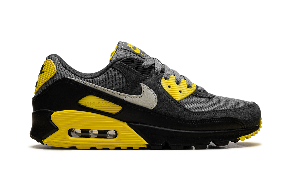 Air Max 90 "Smoke Grey Lightning" DM0029 016