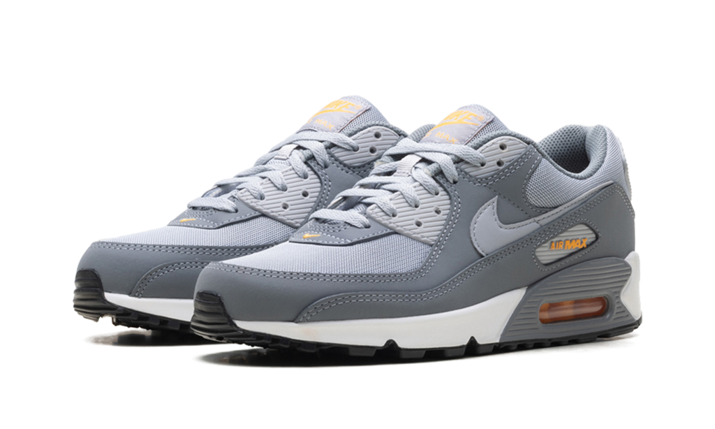 Air Max 90 "Cool Grey Sundial" HV6224 002