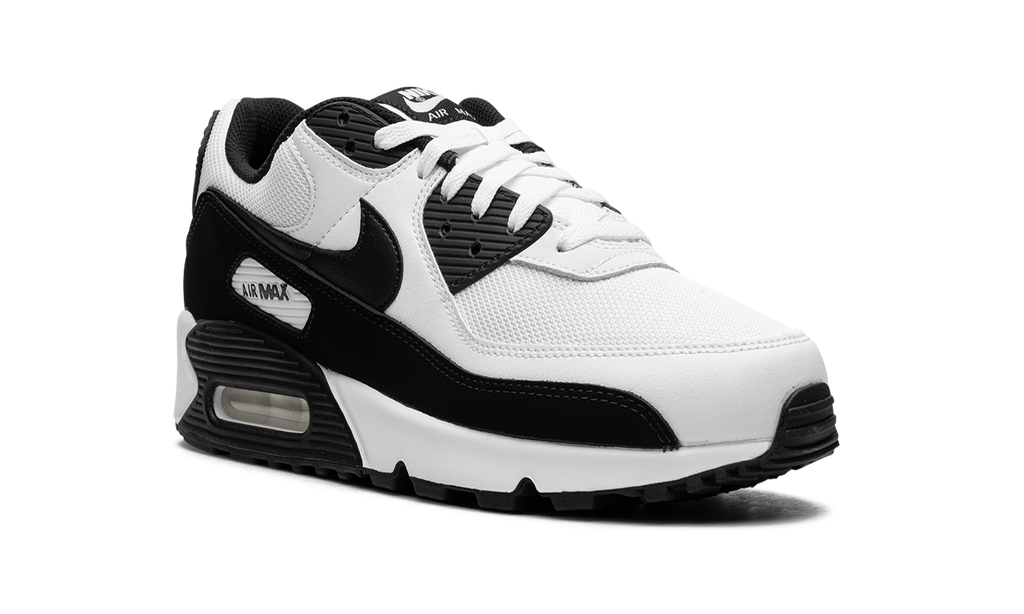 Air Max 90 "Panda" CN8490 101