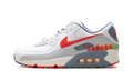 Air Max 90 Premium "Summit White Ashen Slate Pure Platinum Bright Crimson" HJ9147 121