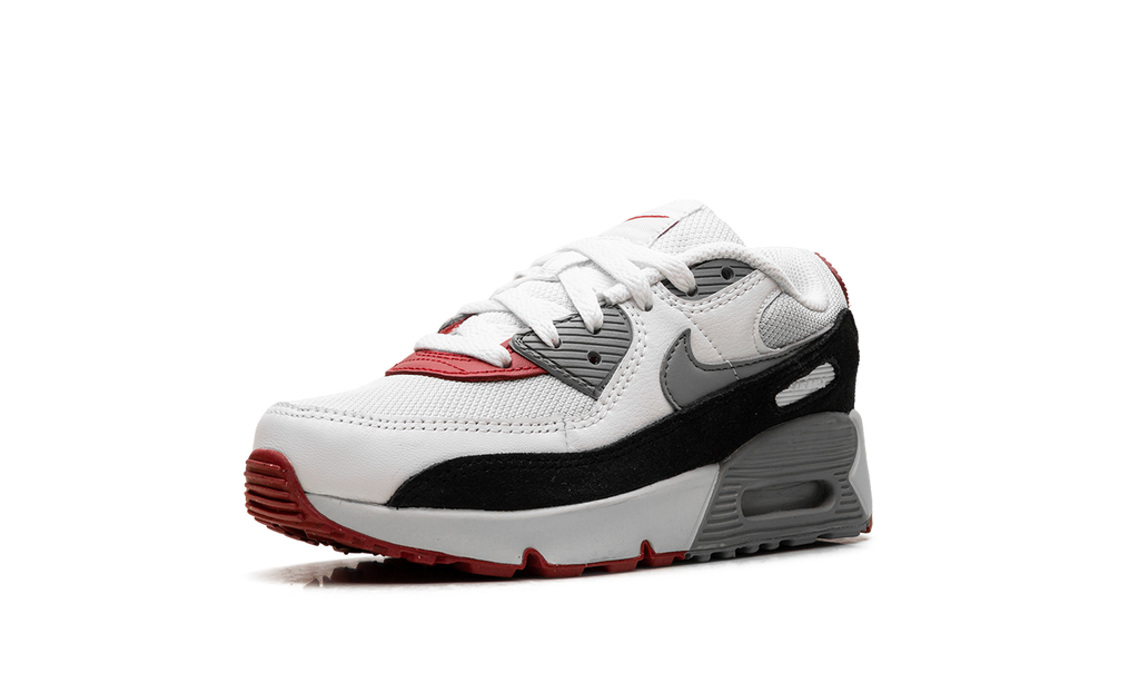Air Max 90 PS "Photon Dust Grey" CD6867 019