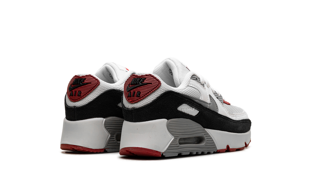 Air Max 90 PS "Photon Dust Grey" CD6867 019