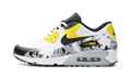 Air Max 90 Premium DB "Oregon" AH6830 100